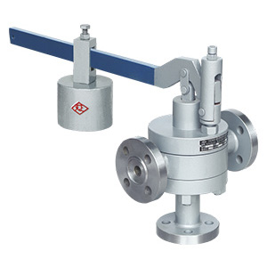 中國天正閥門有限公司脈沖式安全閥（GA49H）